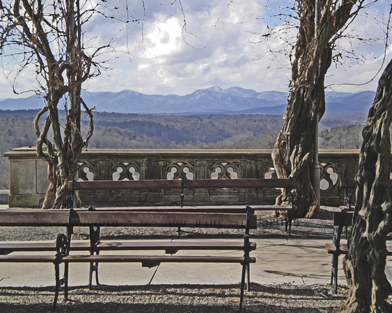 "A Bench, Three Trees, and a Mountain"