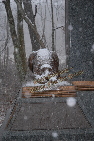 "Wolfhound Snow"