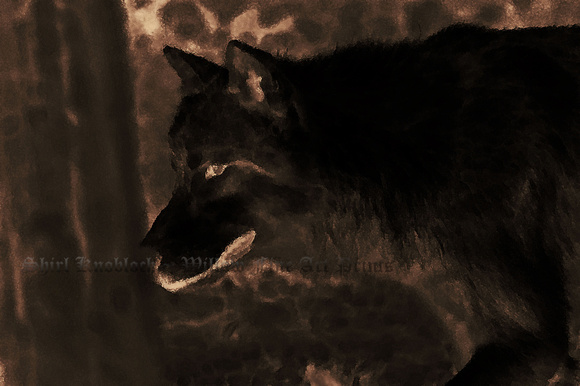 "Wolf"