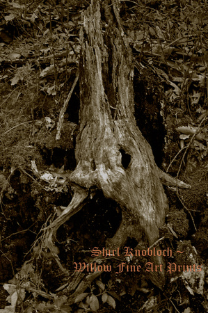 "Spooky Tree"