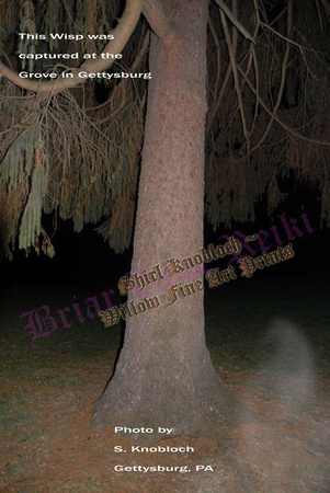 "Gettysburg Ghost Tree"