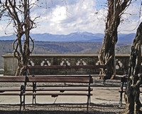 "A Bench, Three Trees, and a Mountain"
