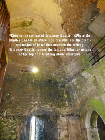 "Blarney Castle Ceiling"