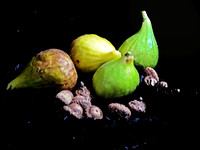 "Figs and Acorns"