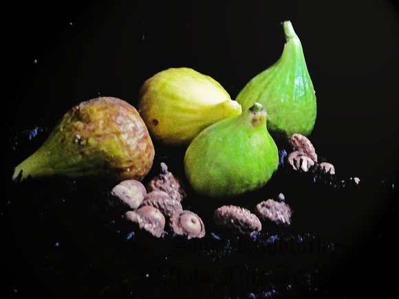 "Figs and Acorns"