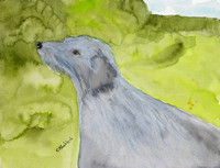 Wolfhound Paintings