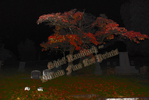 "Autumn in Sleepy Hollow"