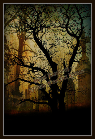 "Graveyard Tree"