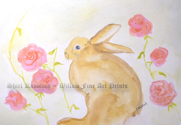 "The Rose Hare"