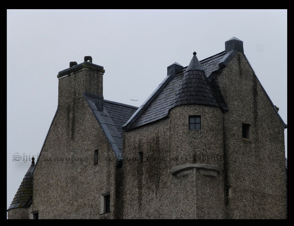 "Ballygally Castle Hawk"