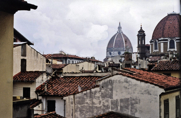 "Florence Rooftops"