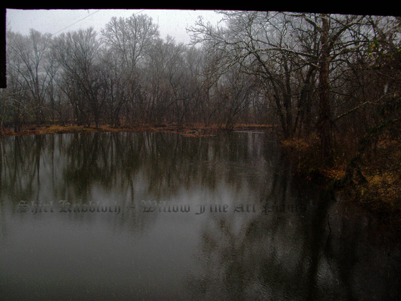 "Marsh Creek Stillness"